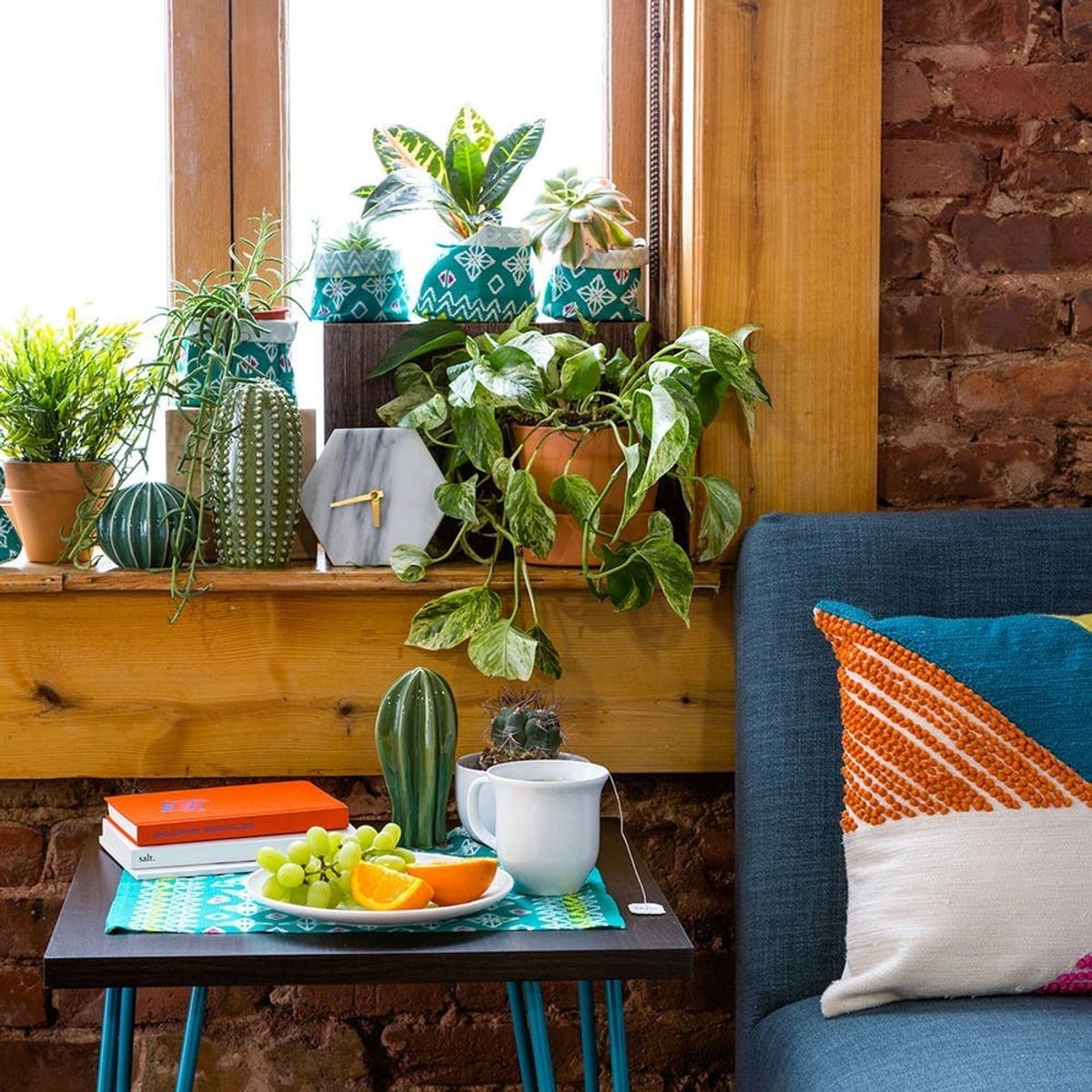 decorate with house plants
