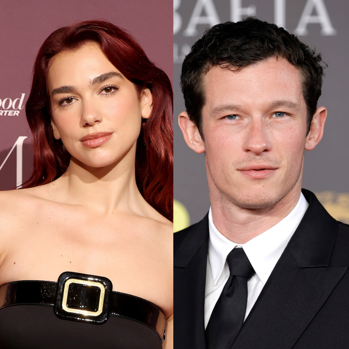 dua lipa boyfriend callum turner