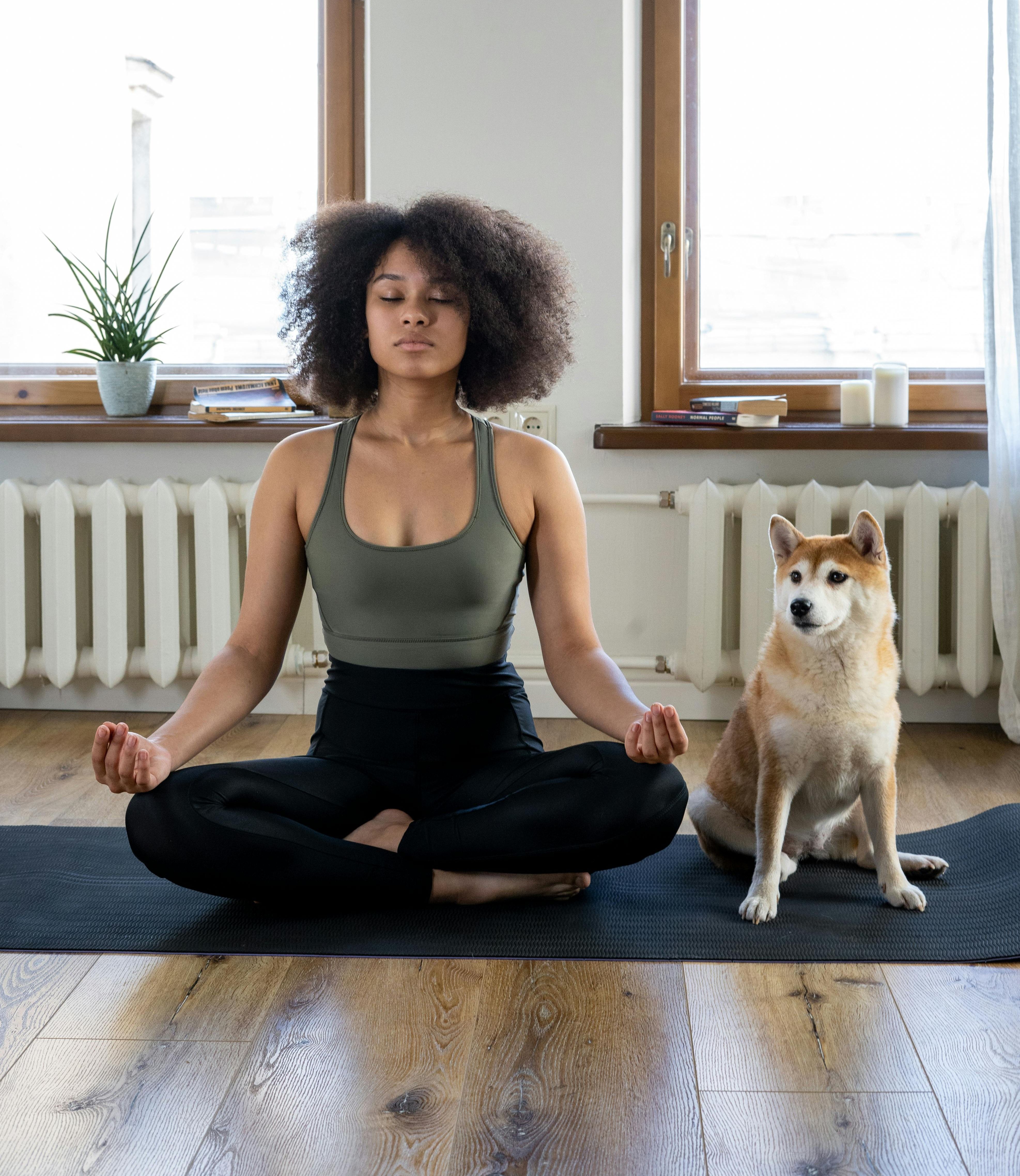 what are chakras